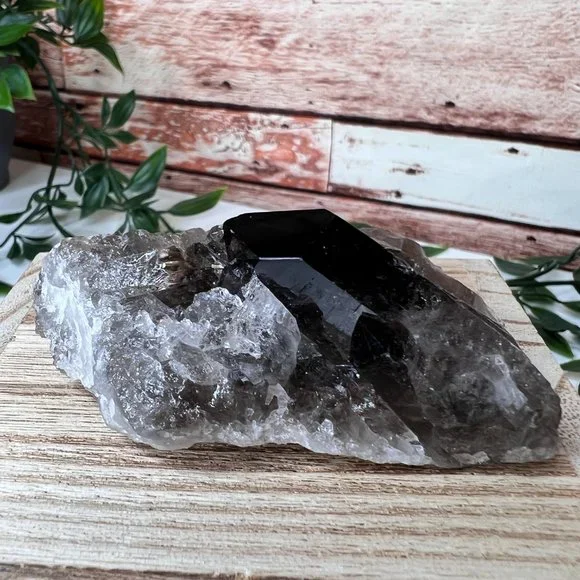 Smoky Quartz Crystal Points Cluster - Smoky Quartz Point Crystal Cluster - Picture 1 of 11